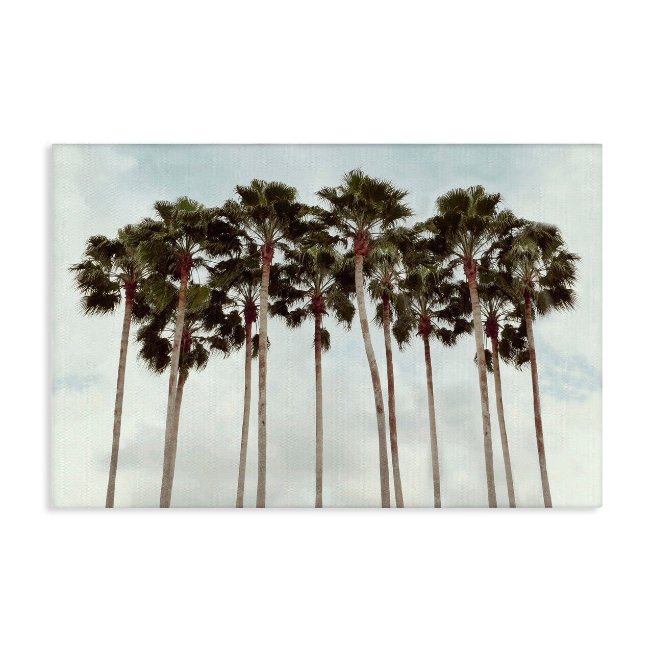Stupell Industries Surfs Up Beach Palms Canvas, design by Natalie Carpentieri